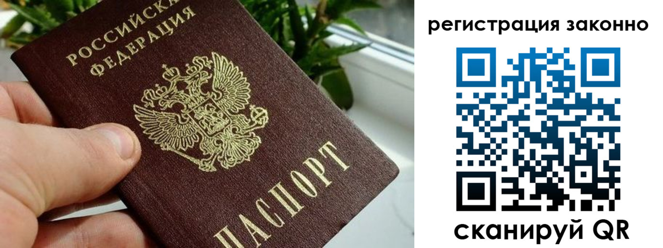 прописка гарантия в Снежинске